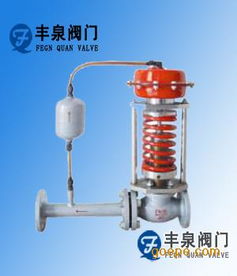zzy型自力式壓力調節閥圖片 高清大圖 谷瀑環保